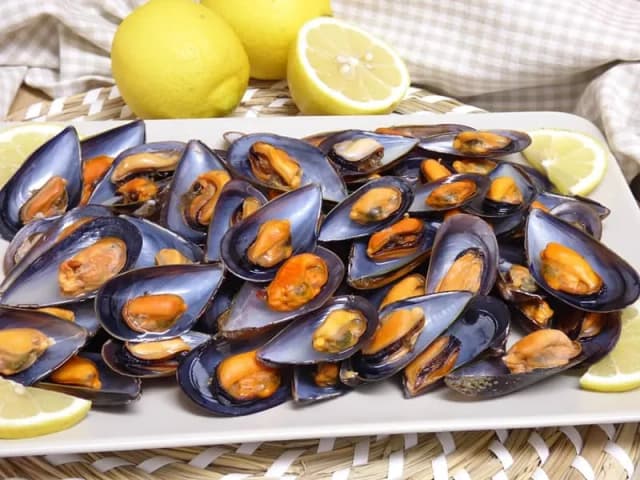 Todo sobre los mejillones de roca: características y usos culinarios Todo sobre los mejillones de roca: características y usos culinarios