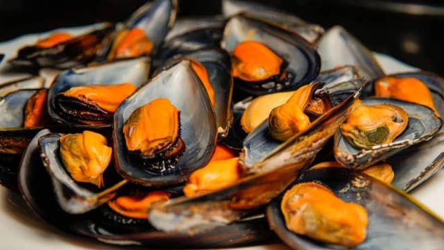 Los mejillones son buenos para el colesterol y mejoran tu salud cardíaca Los mejillones son buenos para el colesterol y mejoran tu salud cardíaca